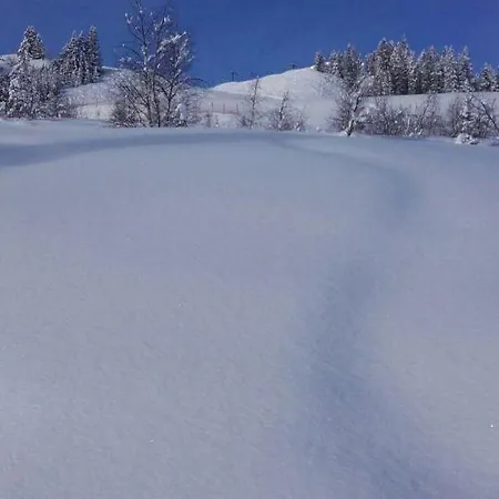 Lägenhet Schafflinger *