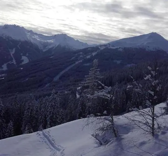 Schafflinger 公寓 巴特霍夫加施泰因