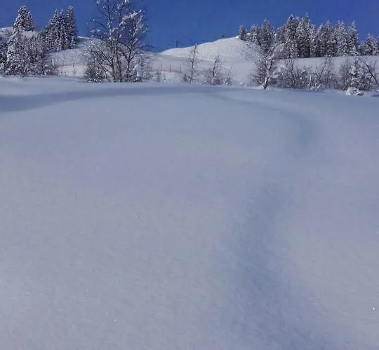 公寓 Schafflinger *